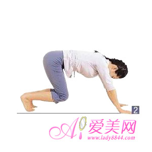  <a href=http://www.tjyoga.com/baodian/jianfei/ target=_blank class=infotextkey>٤</a> ս ƽС 