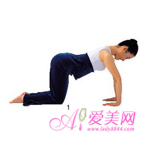  ֲ<a href=http://www.tjyoga.com/baodian/jianfei/ target=_blank class=infotextkey>٤</a>  ƽ 